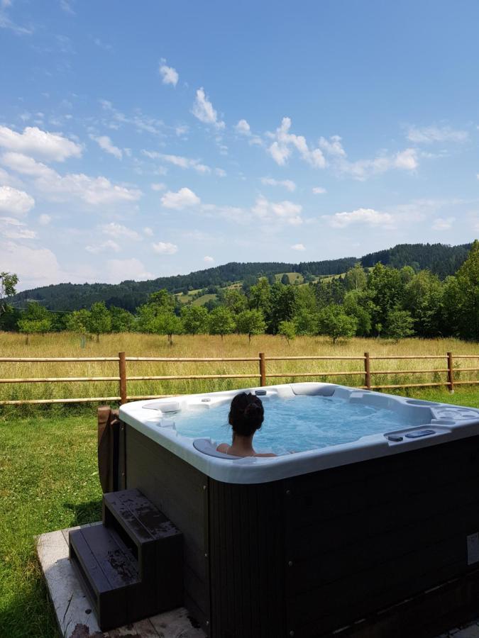 Chata Hrozenka Wellness Nový Hrozenkov Εξωτερικό φωτογραφία